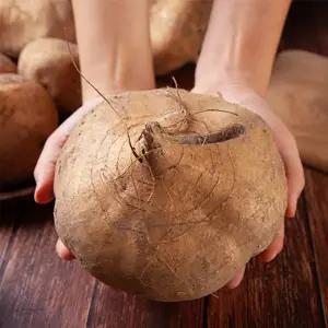 [베트남산 수입]프리미엄 생 히카마 5kg