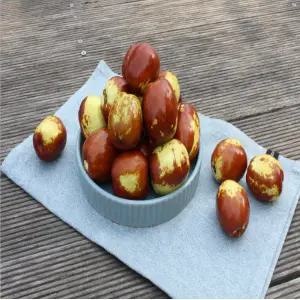 충남 부여산 햇 사과대추 (대) 2kg