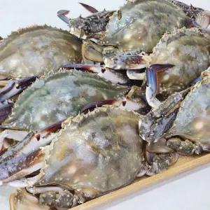 국산 싱싱 톱밥꽃게 3kg