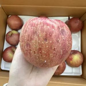 KM 부사 사과 가정용 경북사과 흠집 소과 중과 5kg