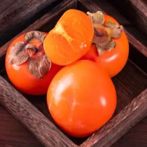 씨 없는 감 청도 반시 (대) 5kg (26~30과)