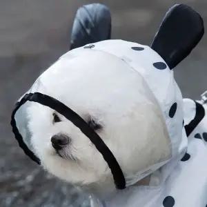 애견용 점패턴 방수판초 반려견 우비 망토 비오는 날 산책용 기본 장비 (WFK8P44)