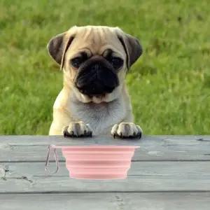 휴대용 반려동물 그릇 간편한 물이나 사료 담기 애완견 고양이 식사 (WFK8P51)