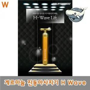 [골드스마일]효과적인 진동마사지기 피부관리 전신 마사지