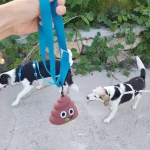 강아지 산책용품 카라비너 배변봉투 똥봉투 똥비닐