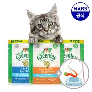 그리니즈 필라인 2개 골라담기+고양이낚시대+베베숲물티슈1팩