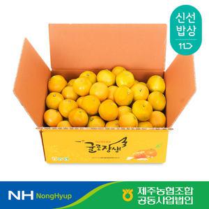 [제주농협] 귤로장생 하우스감귤 2.5kg 로얄과(2S-M)