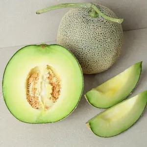 당일수확 고당도 머스크 멜론 4kg(2과)