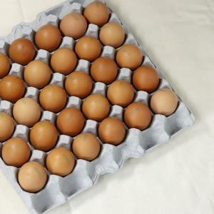 구운계란 대란 30구 한판