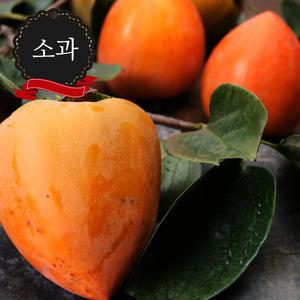 대봉감 10kg 소과 (51~60과) 대봉 홍시