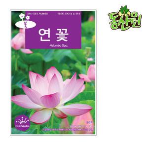 연꽃씨앗 10립 연꽃종자 조경용 꽃씨