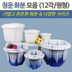 청운 화분 모음 (12각/원형)/플라스틱