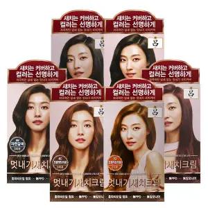 려 우아채 멋내기 밝은갈색 새치 염색약 /미쟝센 샤이닝에센스 모음전