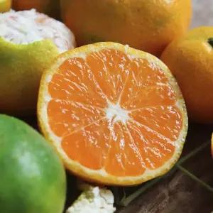 달콤 향긋한 제주 노지 감귤 9kg L~2L 외