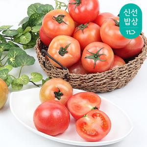영양만점 국내산 찰 토마토 5kg