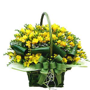 후리지아꽃바구니(특)