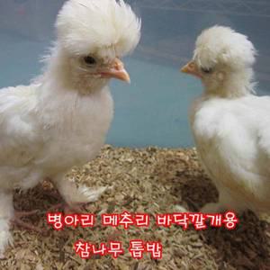 참나무 톱밥- (병아리,메추리오리용)3kg/    병아리톱밥,바닥재