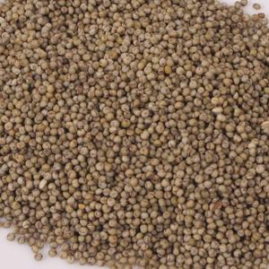 국산 차조500g 찰조/조