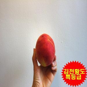 황도 백도 천도 털복숭아 말랑이 딱딱이 선물용 특등급 1박스