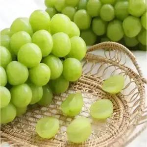 달콤한 샤인머스캣안전포장 2kg 2~6송이