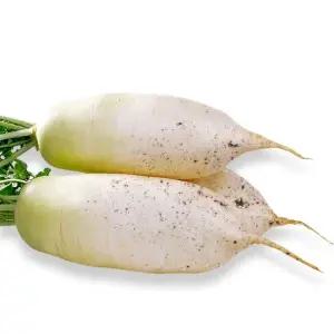 산정마을 국내산 흙 무 10kg