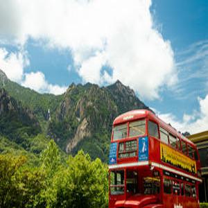 [강원] 켄싱턴호텔 설악(강원, 속초)