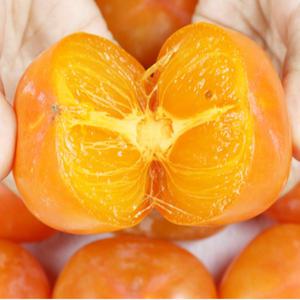 청도 씨없는감 반시 5kg (소 중 대 특) 홍시 연시 청도감 말랑감 햇밤시