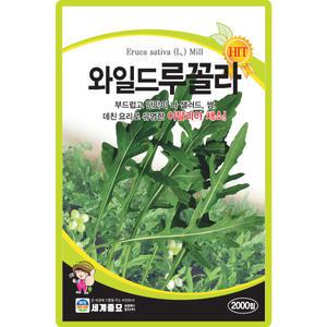 세계종묘 와일드루꼴라 씨앗 2000립 와일드 루꼴라씨 이탈리아 채소 종자