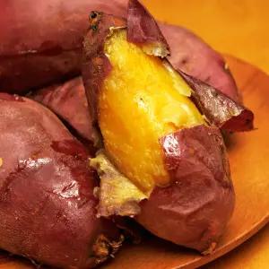 옥이네청과 해남 꿀 고구마 10kg 한입 세척 베니하루카