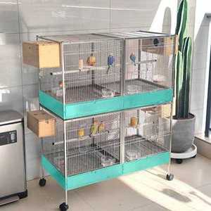 다드림 대형새장 바퀴달린 회색앵무 조류 이동식 나뭇가지 횟대