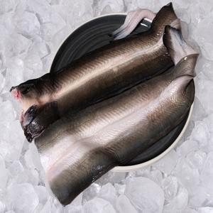 국내산 자포니카 대왕장어! 특대 민물장어 1kg