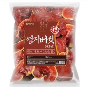 건강중심 국산 영지버섯 통 원형 500g