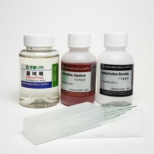 물벼룩관찰세트 EDU-22269 / 과학체험학습키트