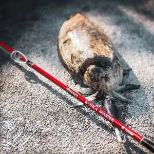 [바낙스] 코이카 마스터 초경량 8대2 쭈꾸미 갑오징어 로드 바다 선상 루어 낚시대 케이스 제공