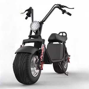 이륜 전동 스쿠터 마실용 여행 배달용 광폭 미니