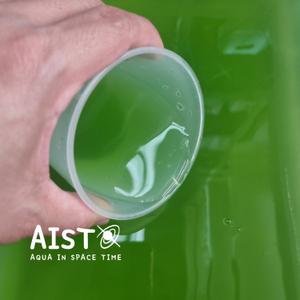 청수(클로렐라) 400ml 1개