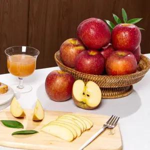 [더조은] 경북 감홍사과 못난이 5kg 12-16과