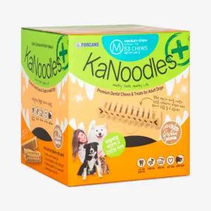 NEW 포켄스 카누들 덴탈껌 M 53p 1+1