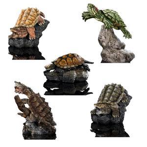 반다이 생물대도감 미니 컬렉션 거북이 미니어처 피규어  캡슐토이 가챠