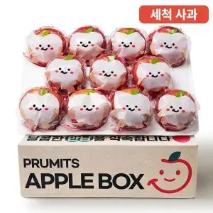 [프루미츠] 맛있는 달콤함 산지 세척 아리수 사과 2kg