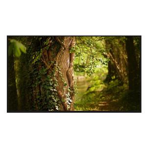 LG전자 55UT931C0NA 울트라HD 각도조절 벽걸이 1등급 4K UHD LED TV 전국추가비용없음 국민전자