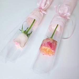 3개세트 생화한송이 카네이션 장미 꽃 한송이 포장 생화택배 꽃배달싼곳