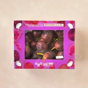 GAP 영암 무화과 16~20입 (1.2kg)