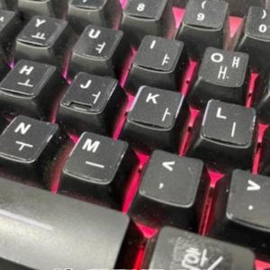 고품질 자판 호환가능스티커 키보드 스티커 한글 감성악세사리 간편한사용 수명이오래가는 (WFHV9NS)