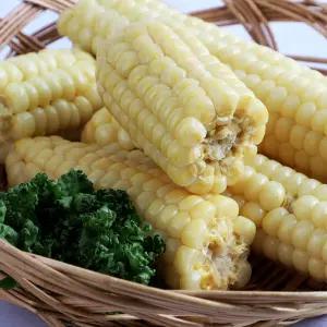 국내산 쫀득쫀득한 미니 진공 찰옥수수 3팩 (팩당 3-4개입)