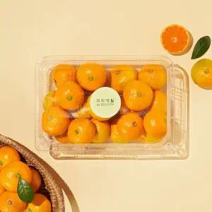 저탄소 하우스 꼬마감귤 1kg/팩