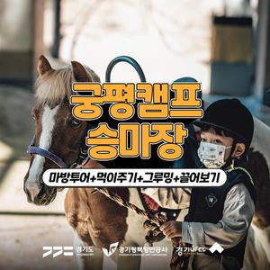 [2025 경기바다] 궁평캠프 승마장 패밀리 힐링투어