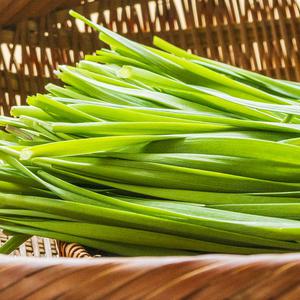 친환경 무농약 부추 1kg 2kg