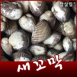 [참살림농산]벌교 새꼬막 1.5kg(기본~특품)
