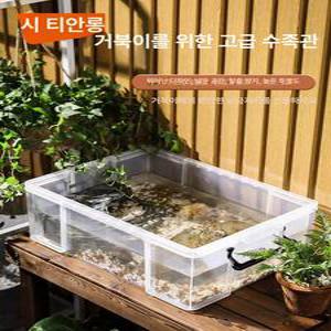 프라베 거북이 투명 가정용 필터 어항 사육장